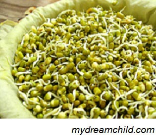 Sprouted Green Gram